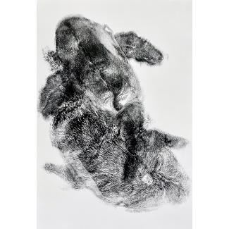 Furry Fish 2