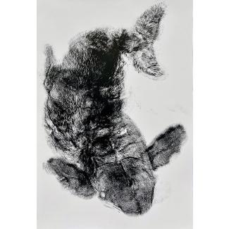 Furry Fish 3