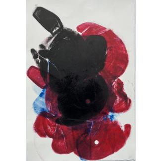 Toucan 6